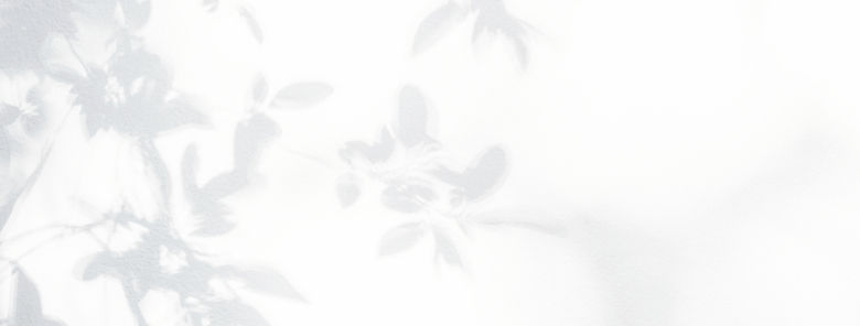 Leaves Shadow _edited.jpg
