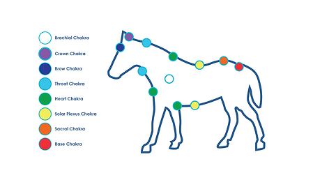 chakras_05@2x.png