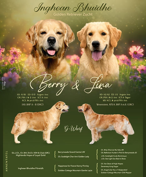 berry-lina-collage.jpeg