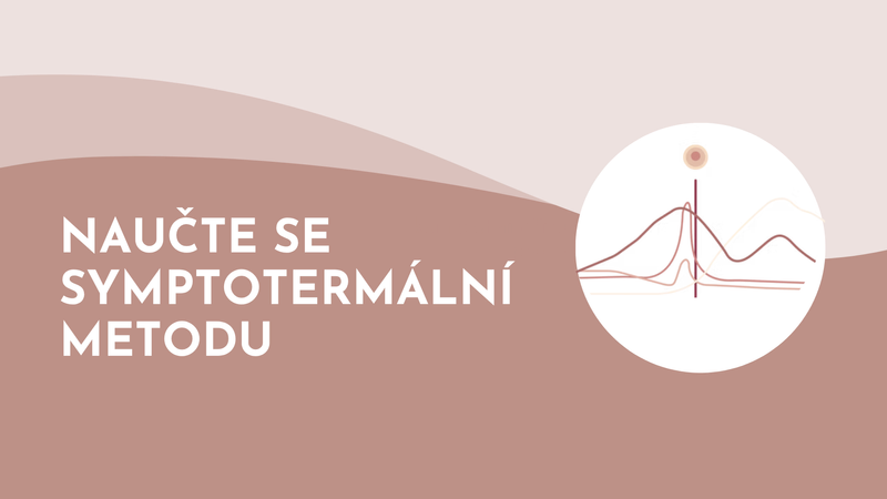 Nehormonálka, nehormonální antikoncepce, menstruační cyklus, kurz symptotermální metody, kurz STM