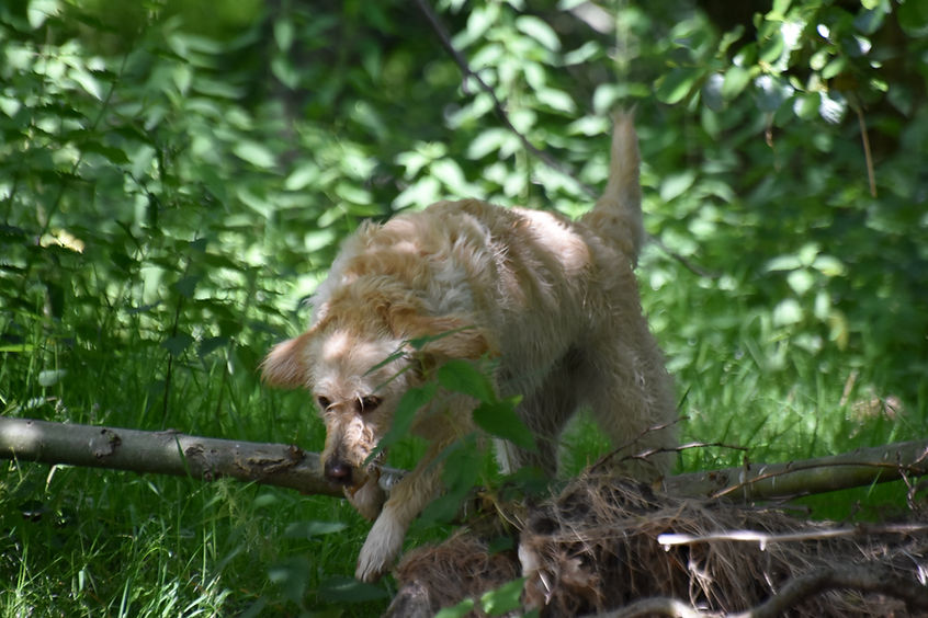 DSC_3631.jpeg