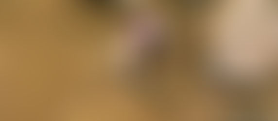 Trail Hiking by Ashville NC