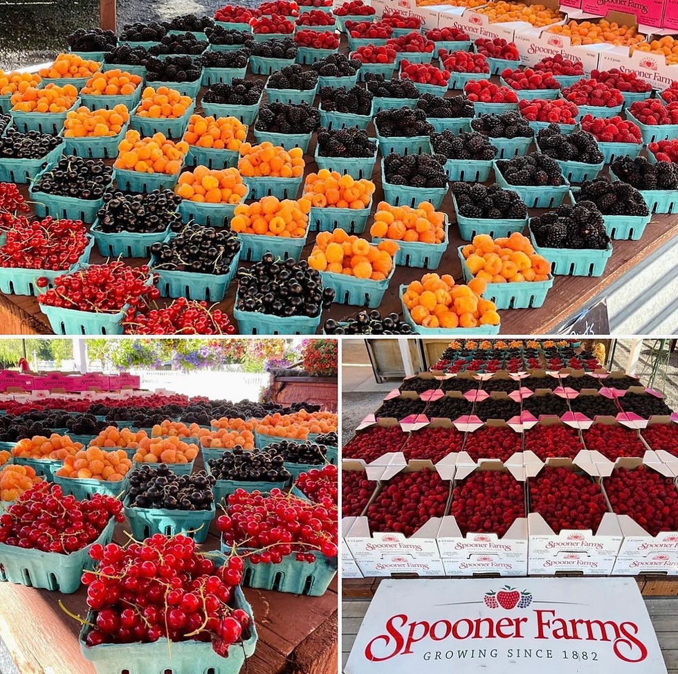 Farmers Market Red Barn Market & Nursery Puyallup