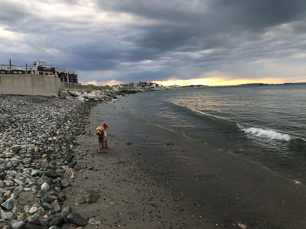 Nantasket Beach