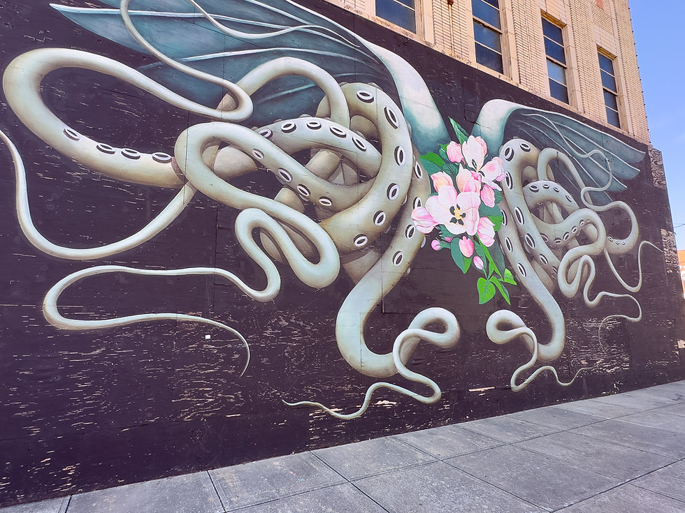 Floral phenotype by Ana Maria, Fort Smith, Arkansas