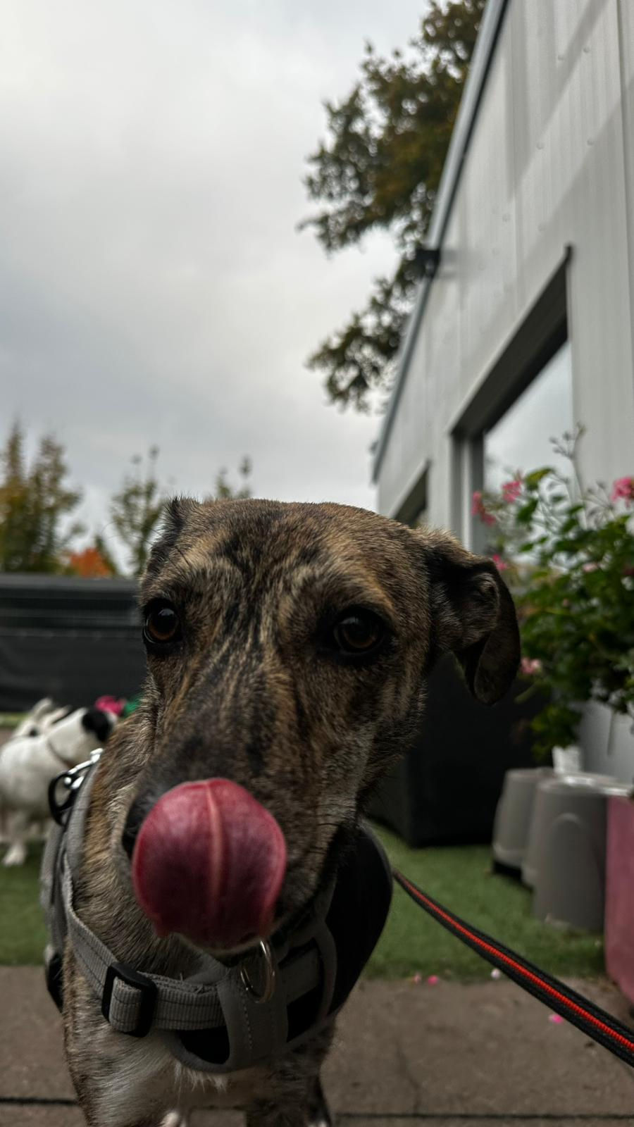 Pepper3