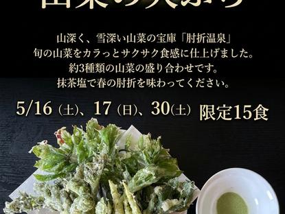 3日間・各日15食限定　山菜の天ぷら