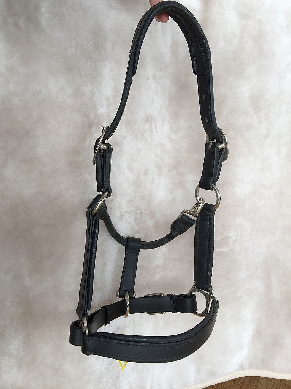 Thumbnail: Lined Leather Headcollar