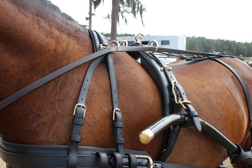 Eurotech (synthetic) Classic harness single harness carriagedriver