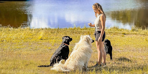 2752d345-bd20-4905-bf9f-ae35fc07a24a_edited_edited_edited_edited_edited.jpg