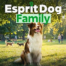 Code promo esprit dog family