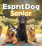 code promo esprit dog senior