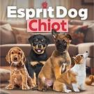 Code promo formation Esprit Dog Chiot
