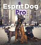 code promo esprit dog pro