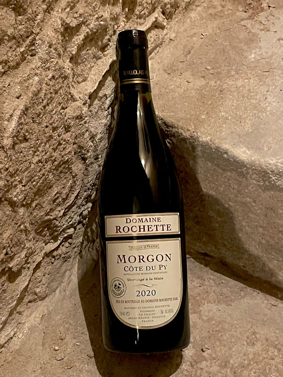 Morgon AOP Côte Du Py 2022 Domaine Rochette