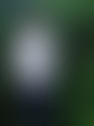 Написать книгу за неделю и заключить контракт за пару дней - миф или реальность?