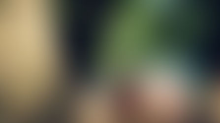 Откуда взять опыт в переводах?