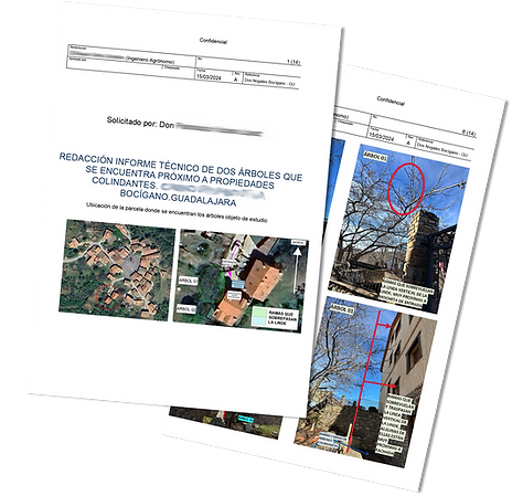 Informe Pericial copia.png