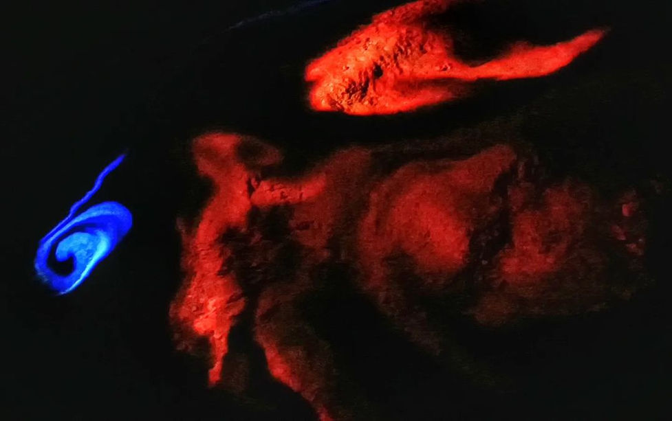 umbra light vortice 3.jpeg