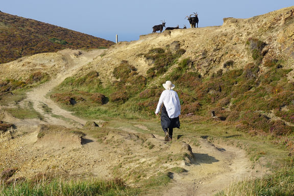 32. Cornwall Coast Path: Crackington Haven – High Cliff (Circular) – 5.5 miles - OS Explorer 111