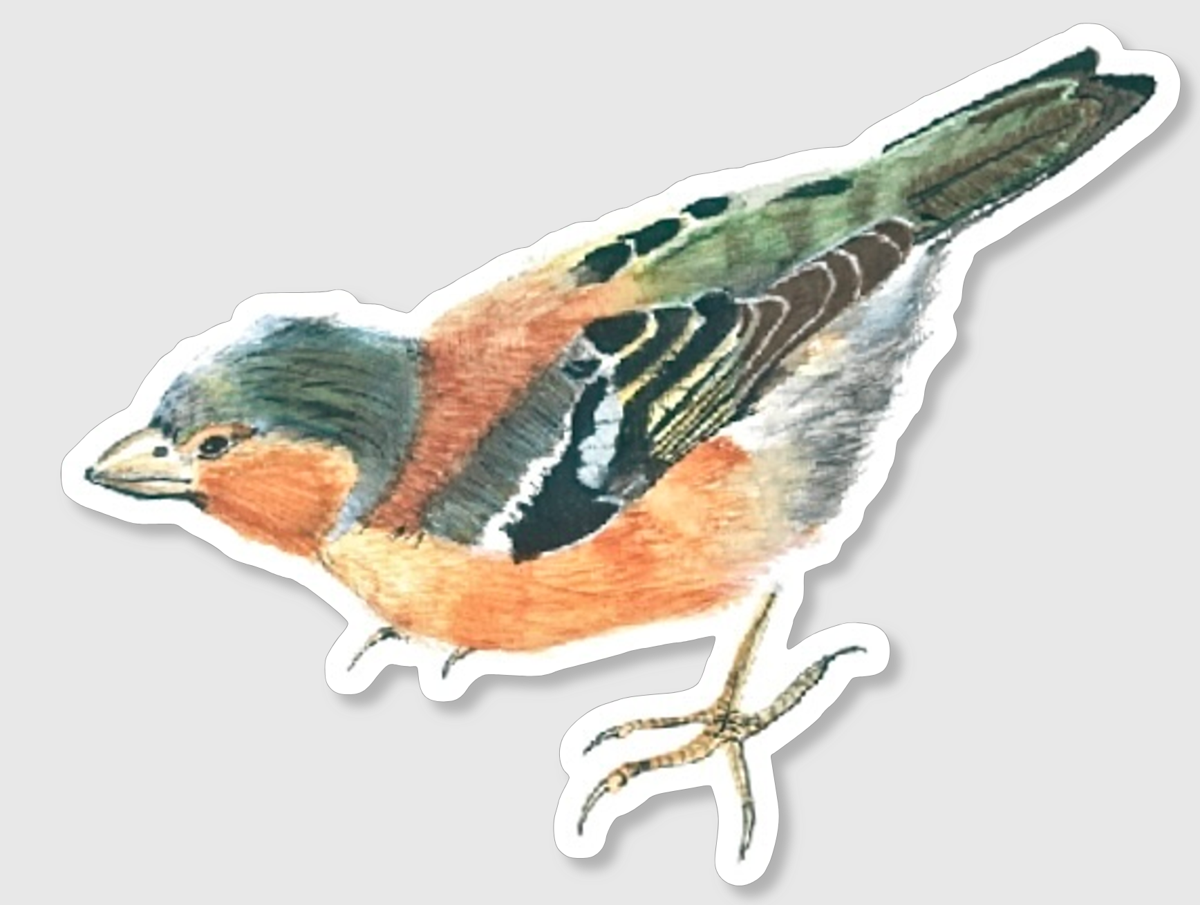 Mini Chaffinch Sticker