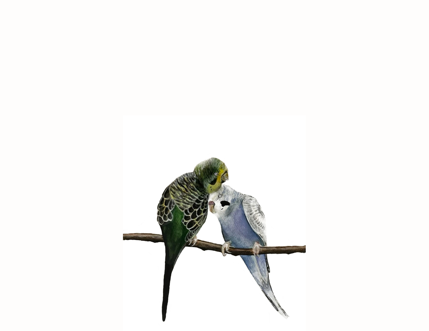 Greeting Card- Parakeets
