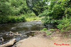 Knaresborough 27 07 2016