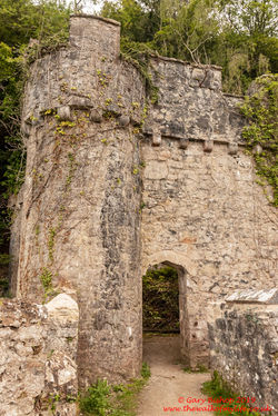 Gwrych Castle
