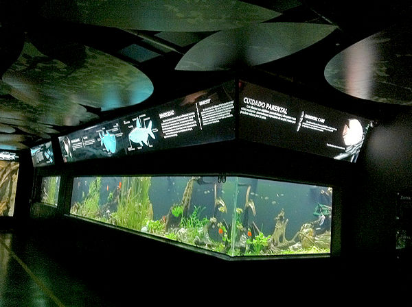 backlit acuario explora 02