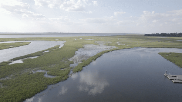 GIF for Video Pricing.gif