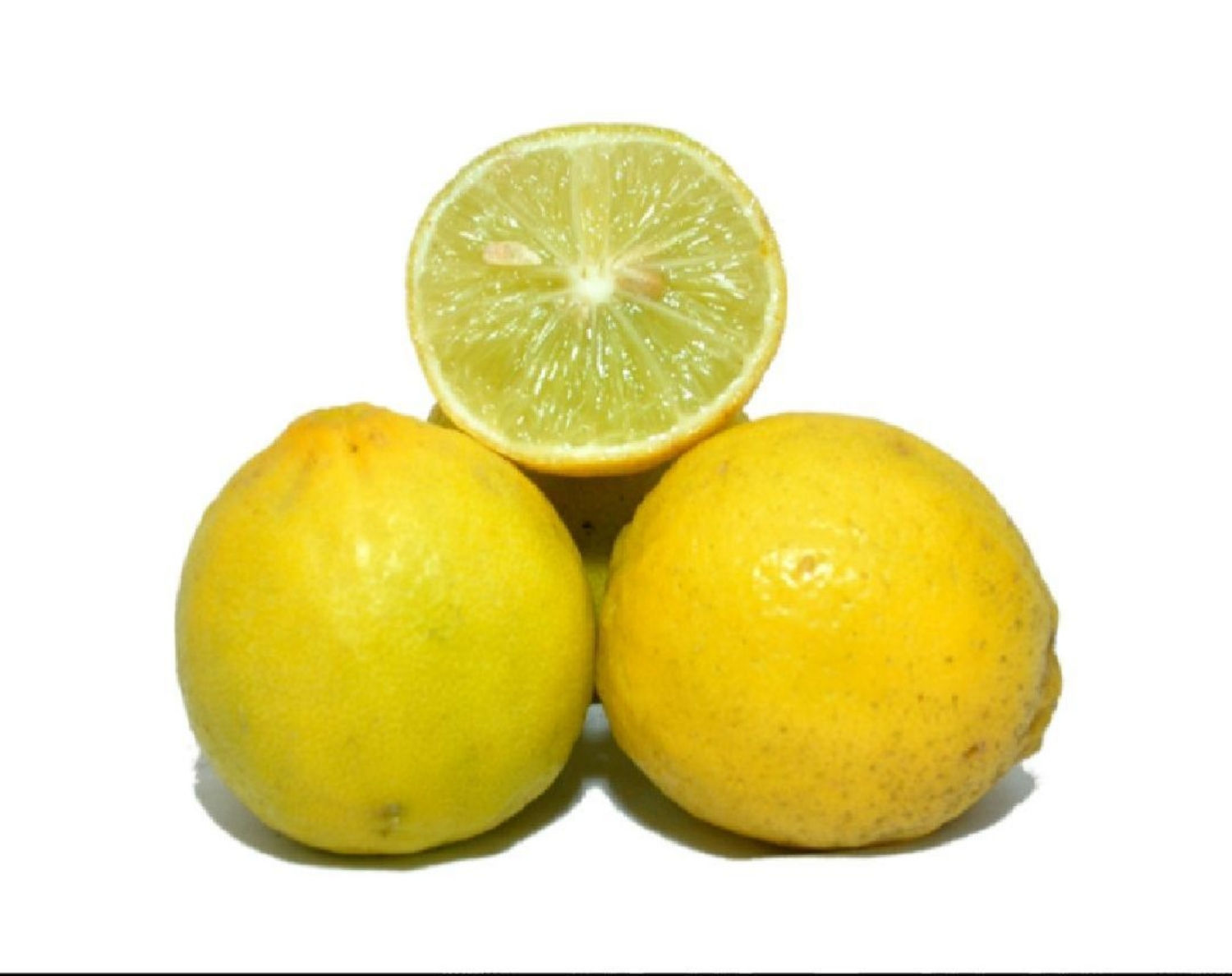 Lemon, (nibu) 4