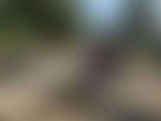 SIPDUS impulsa la conectividad en Lolotla 

con acceso a comunidades