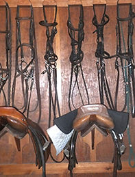 Story-5TipsToSellingFarm-2.jpg