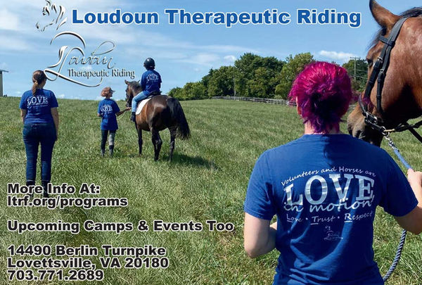 LTR_Openings AdSpring26.jpg