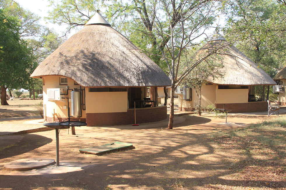 Safari in the Kruger