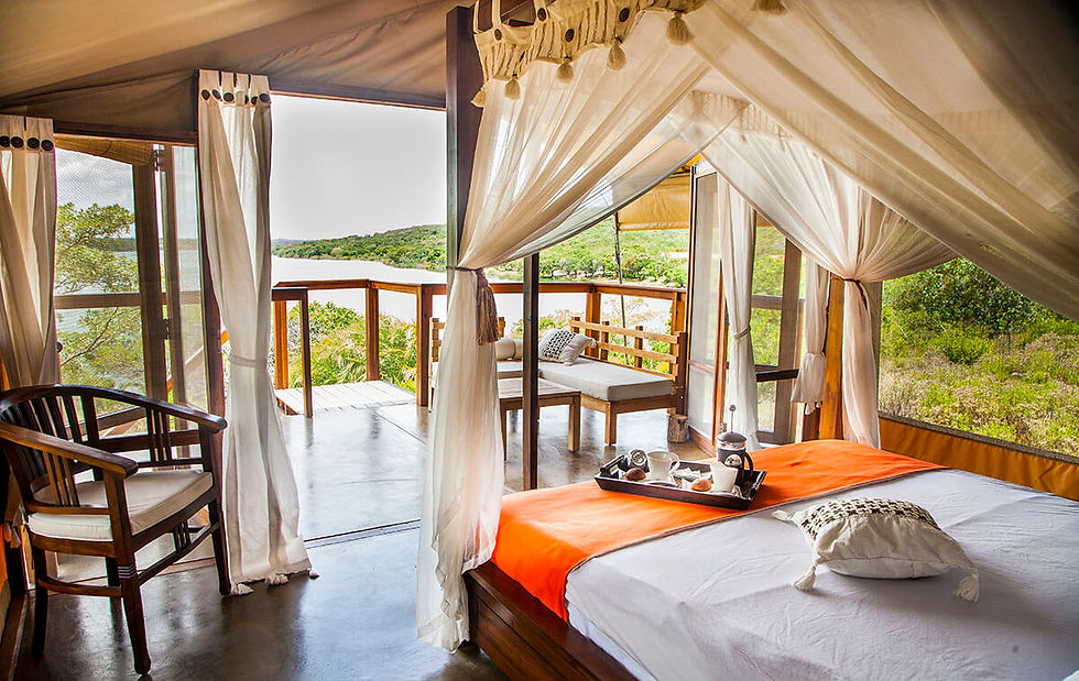 View from your bed