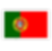 Portugal Flag