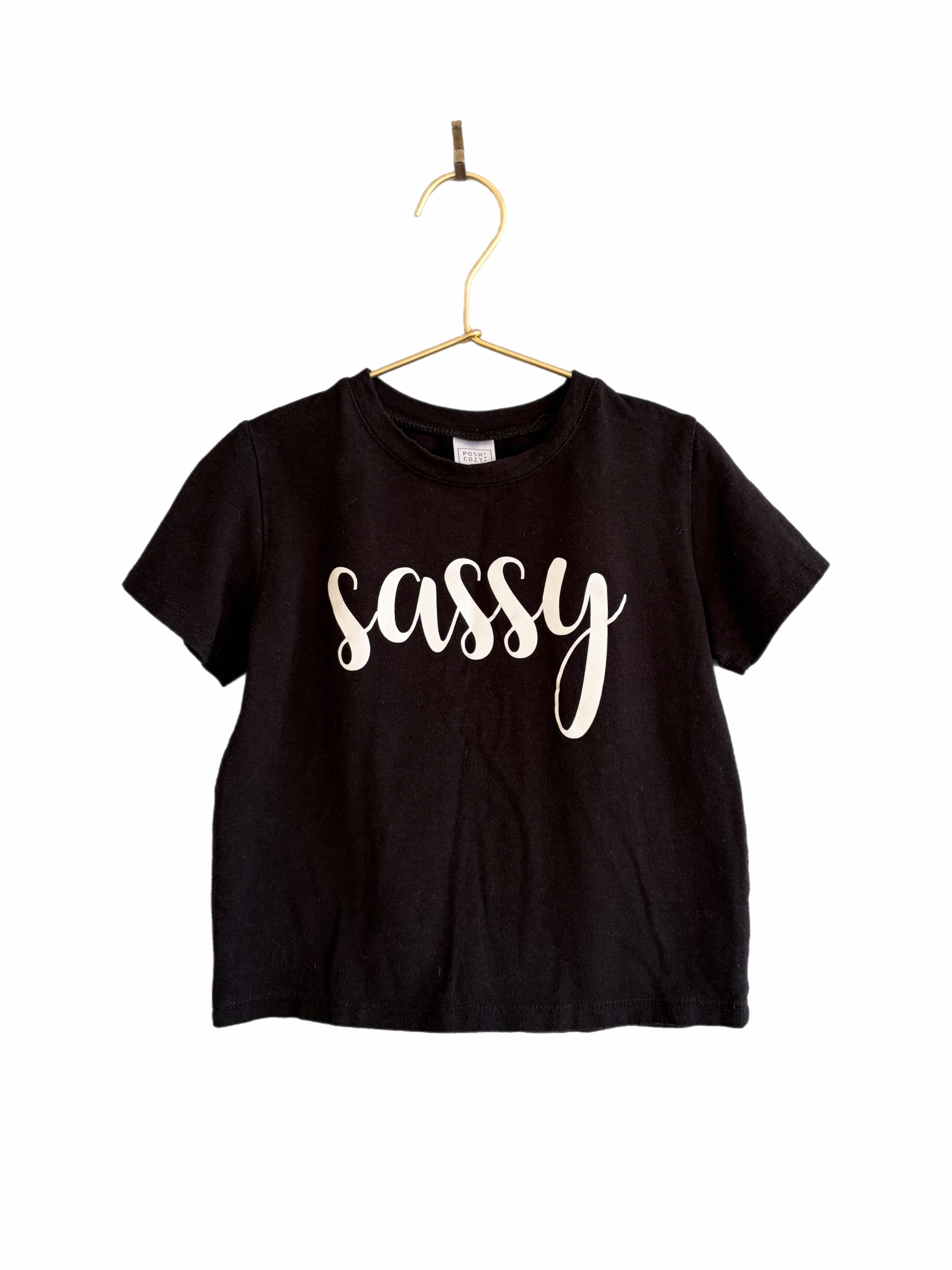 Posh & Cozy bamboo t-shirt 2T
