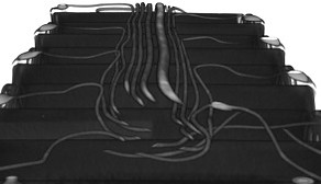 CT scan slice of E-Bike Battery
