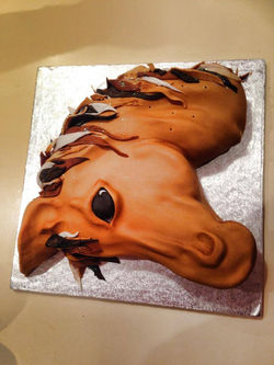 10446486_661521343896727_1121300409821688218_n