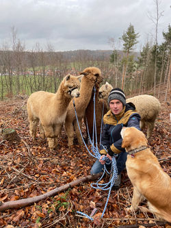 Foto 26.12.20, 13 41 26