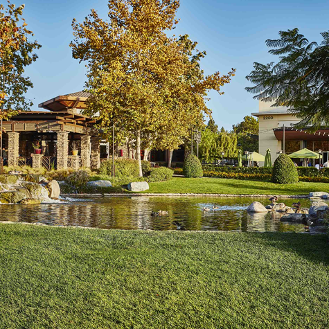 The Best Rehab Program Thousand Oaks: Why Clean Treatment Center Leads in Recovery Services