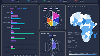Charities in Africa Dashboard