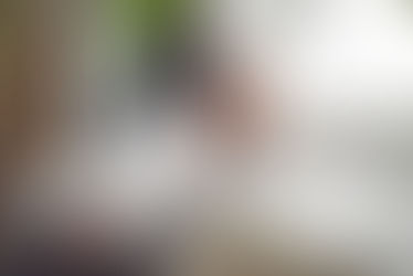 L'ikigaï ? qu'est ce c'est ?