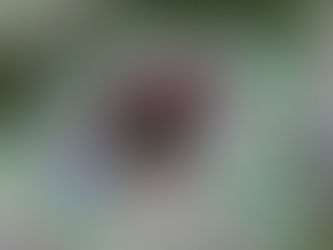 Ep. 45 - Sources and Such