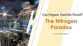 Nitrogen paradox.jpg