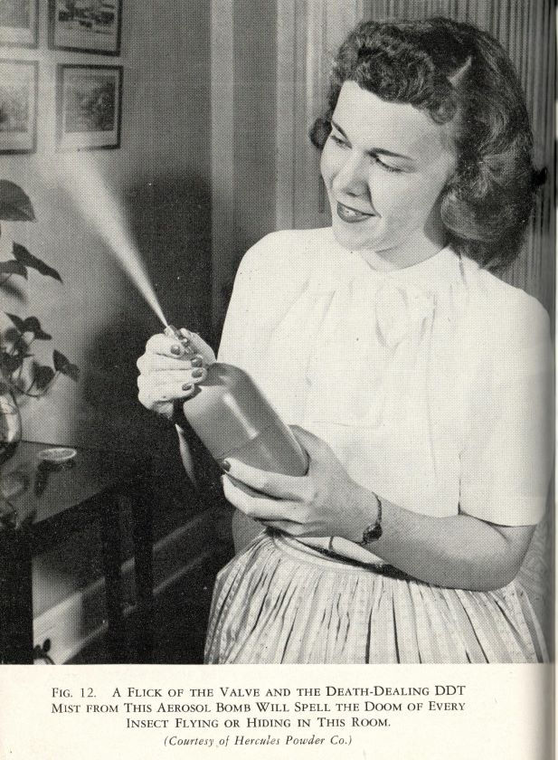 Marketing image of an attractive woman spraying DDT