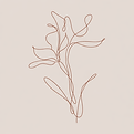 ad388aa2-7e8c-4c4e-b5d9-14dbd4c1cb9a.png