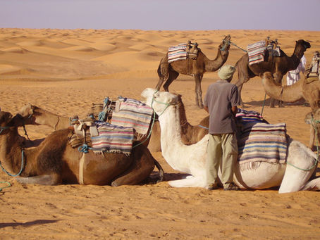 🇹🇳Ksar Guilane / Tataouine/Matmata 2 jours en 4x4🐪🐪
