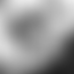 My Twin Pregnancy & Unassisted Home Birth